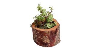 Outdoor Garden Furniture Wooden Table Set