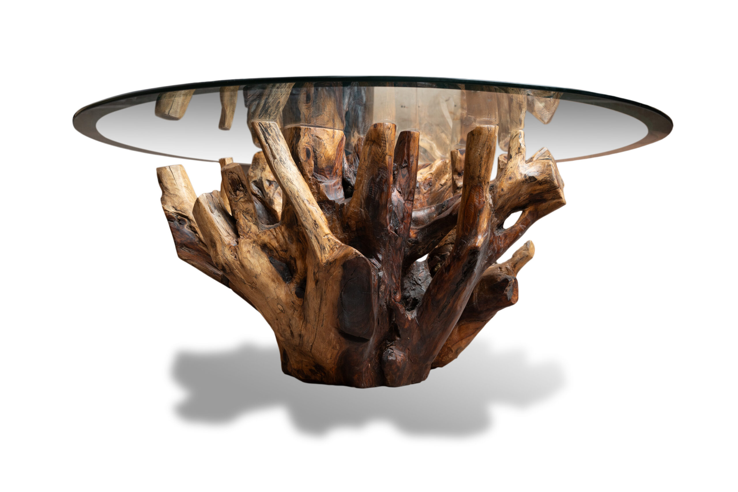 Rooted - Coffee Table 5 Rooted - Coffee Table - Image 5