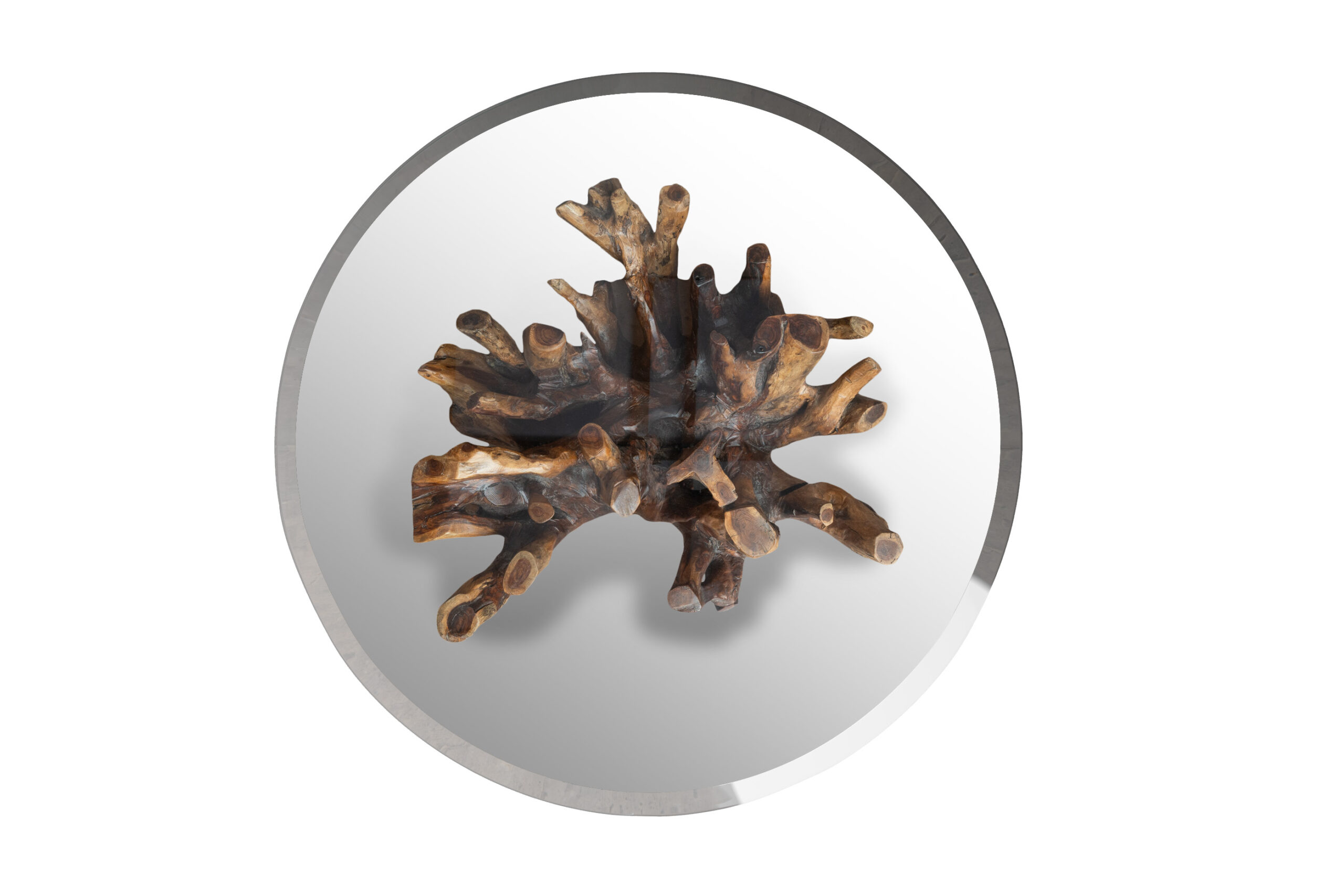 Rooted - Coffee Table 6 Rooted - Coffee Table - Image 6