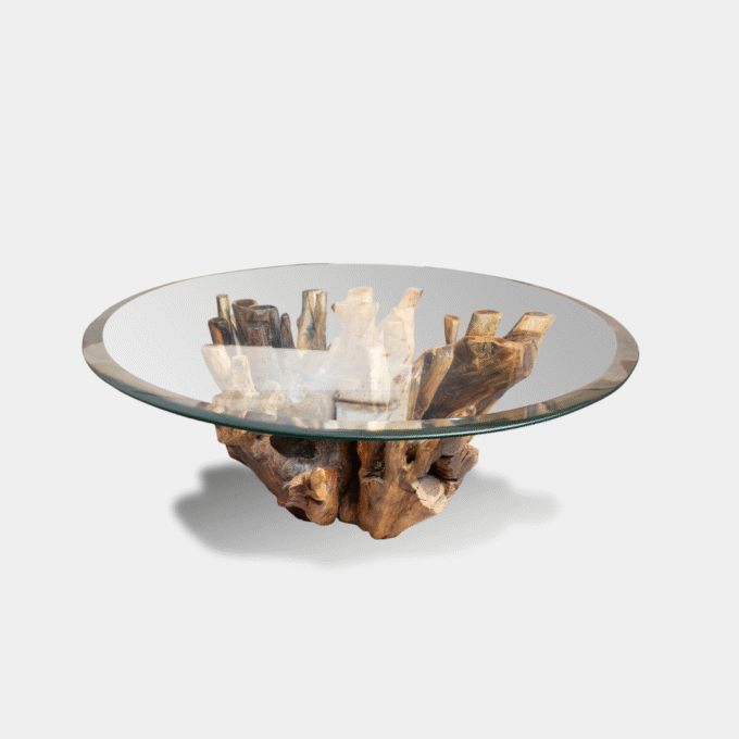 Rooted - Coffee Table