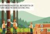 Sustainable wood sourcing practices that protect forests and the environment