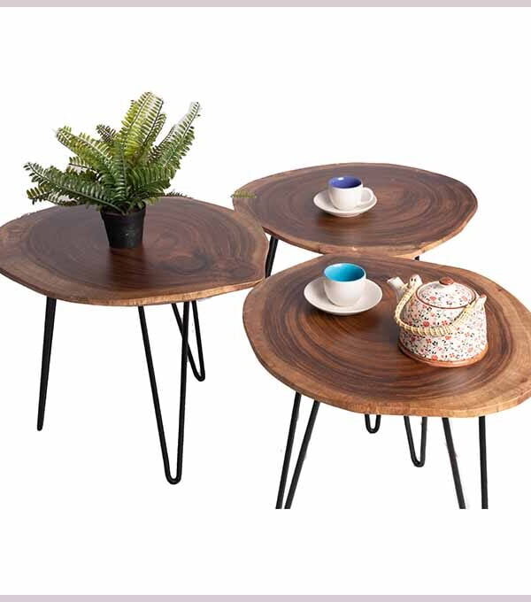 Live Edge Diorama Champhered Table