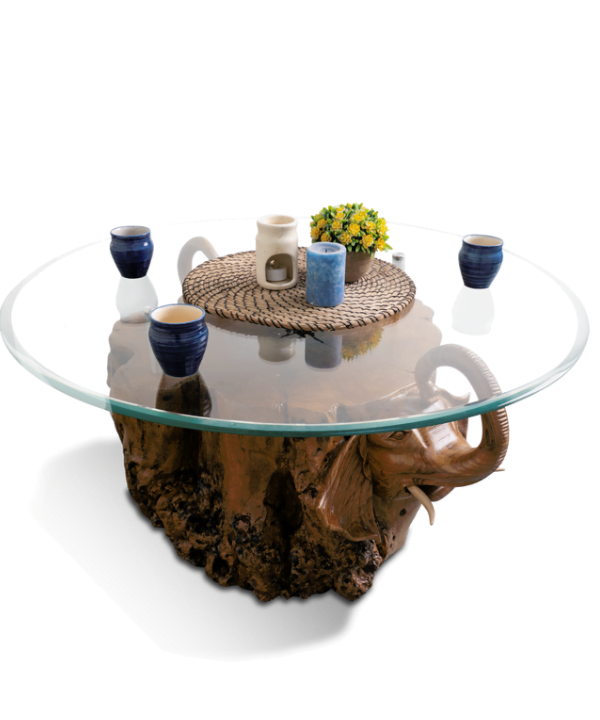 Live Edge Ele Fanta Coffee Table
