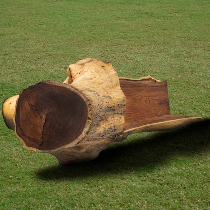 Handcrafted Live Edge Carved Wooden Log Bench - Image 3