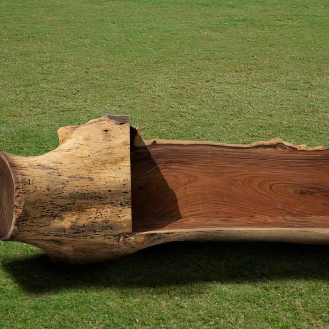Handcrafted Live Edge Carved Wooden Log Bench - Image 2