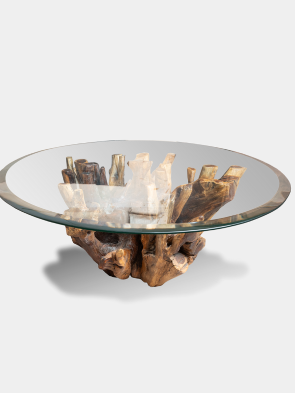 Sheesham Wood Rooted - Coffee Table