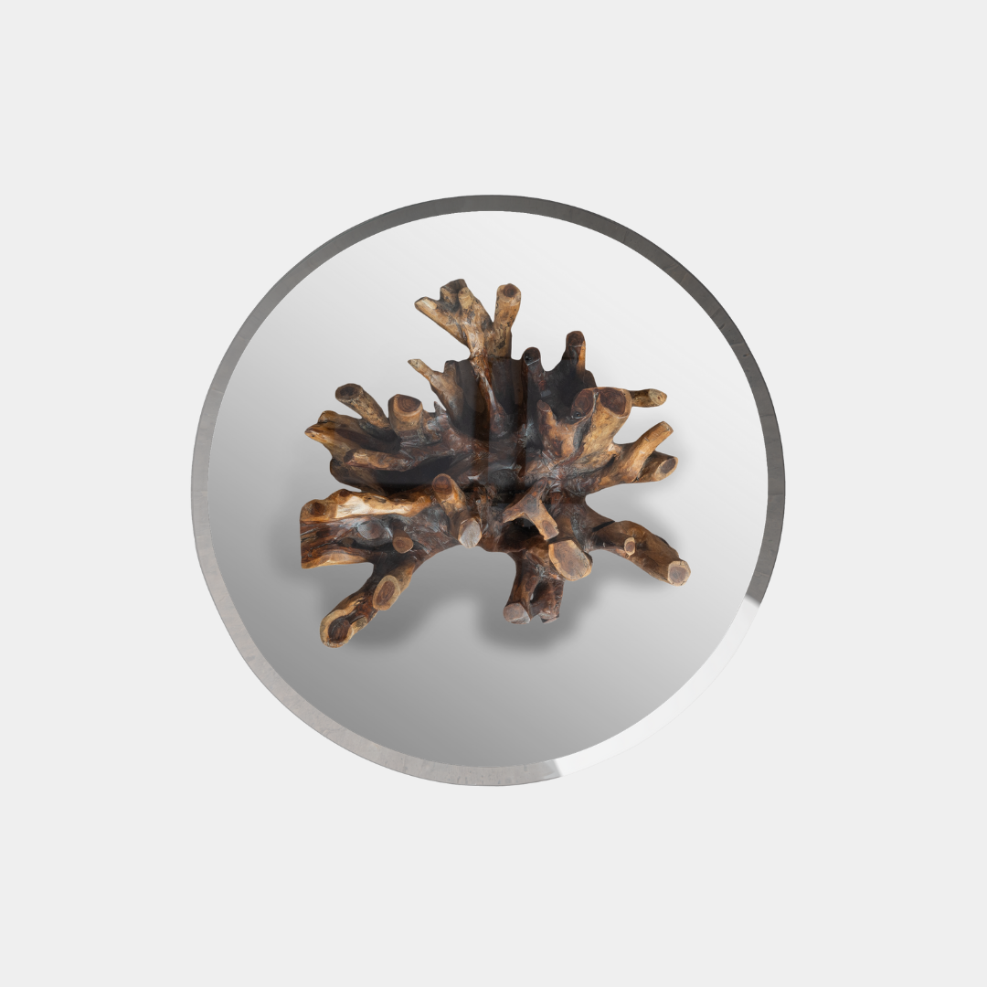 Sheesham Wood Rooted - Coffee Table - Image 4