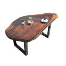 Live Edge U legged Coffee Table