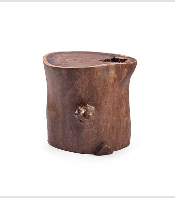 Live Edge Big Stump – Rustic Natural Walnut Base