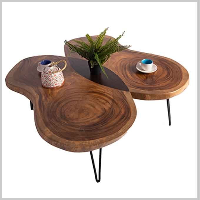Live Edge Butterfly Table