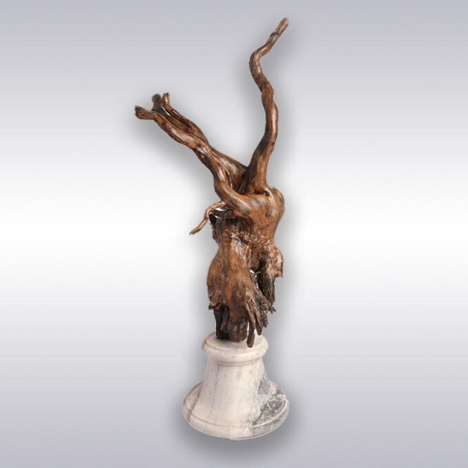 Live Edge Drifted Enlightenment Custom Made Lamp