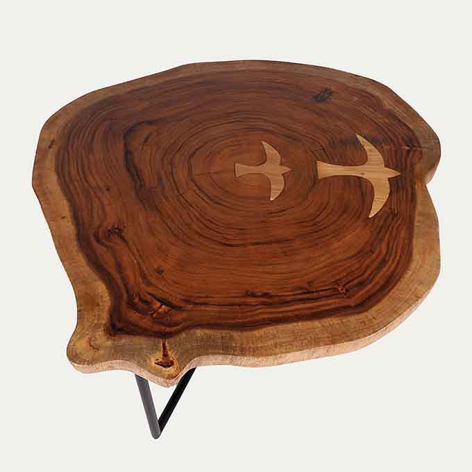 Live Edge Flying Eagles Coffee Table