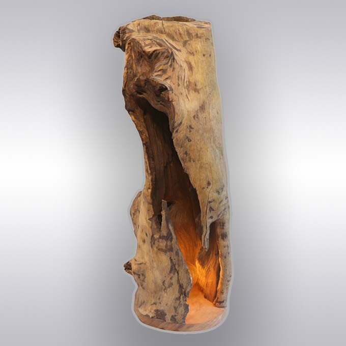 Custom Made Live Edge Log Lamp – Inlightenment for Home Decor - Image 2