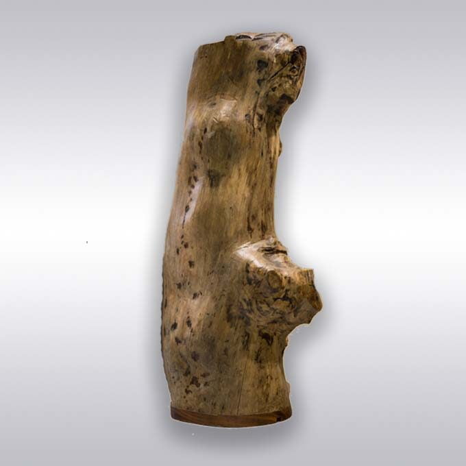 Custom Made Live Edge Log Lamp – Inlightenment for Home Decor - Image 3