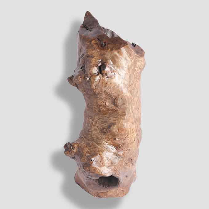 Live Edge Log Lamp Enlightenment Design - Image 2