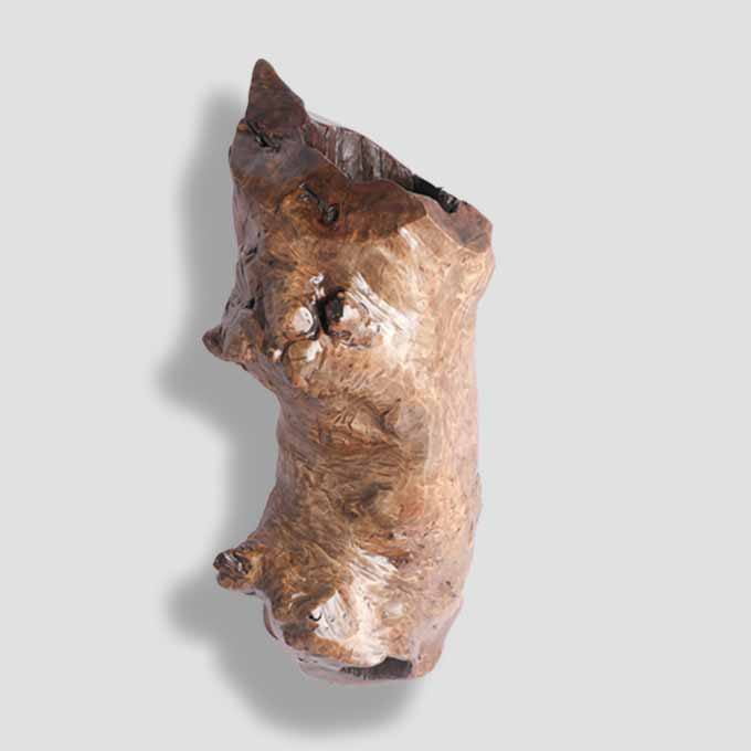 Live Edge Log Lamp Enlightenment Design - Image 3