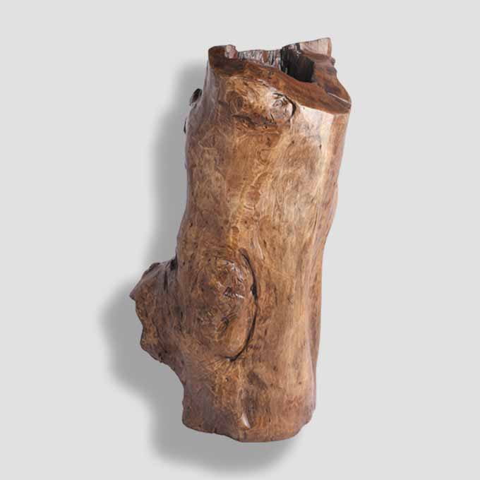 Live Edge Log Lamp Enlightenment Design - Image 4