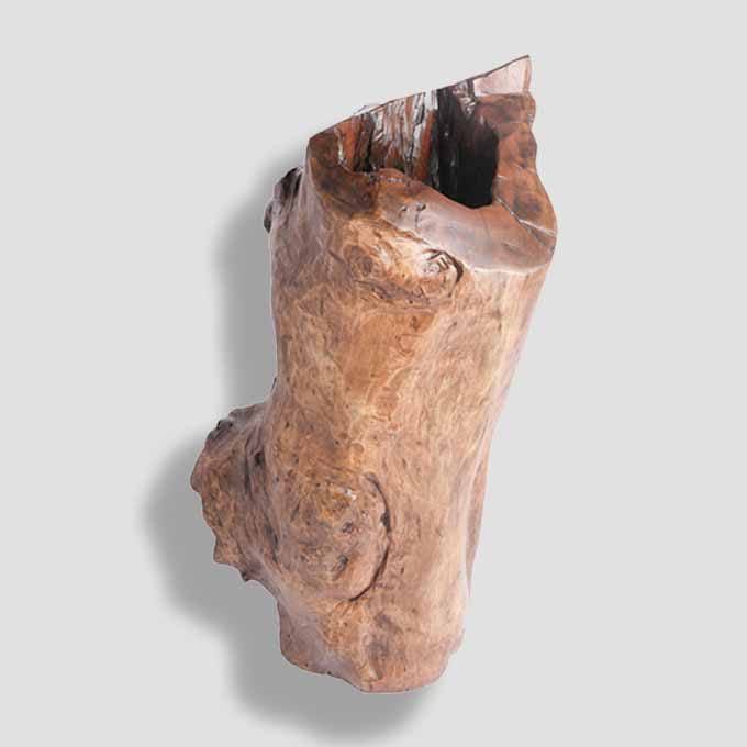 Live Edge Log Lamp Enlightenment Design - Image 5