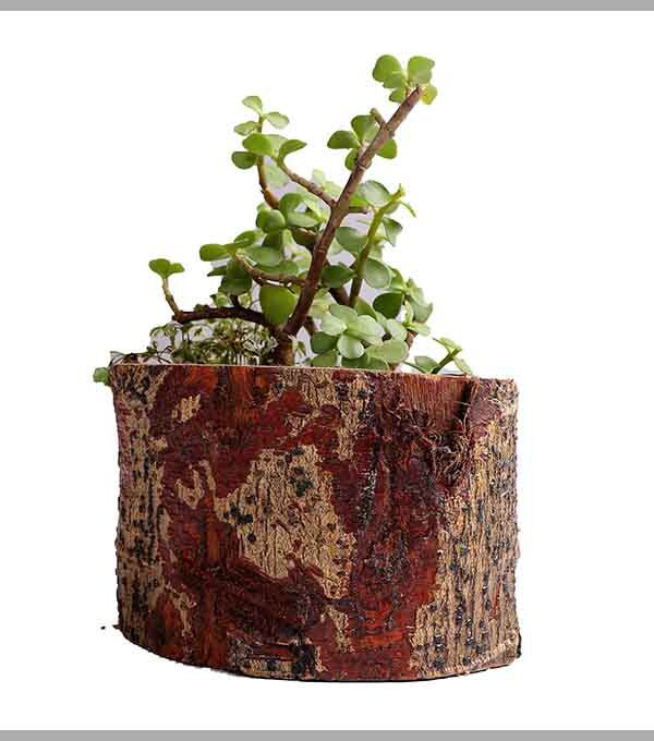 Wooden Flora Planter – Indoor Outdoor Pot