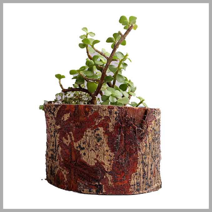 Wooden Flora Planter – Indoor Outdoor Pot