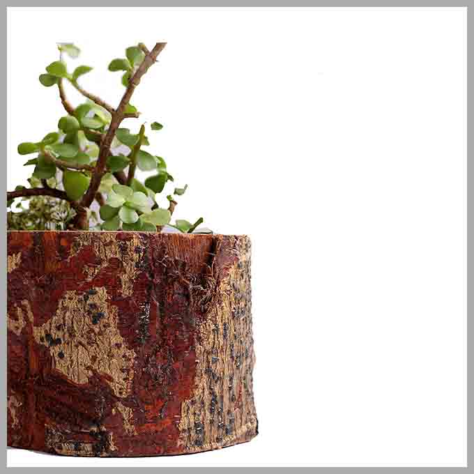 Wooden Flora Planter – Indoor Outdoor Pot - Image 4