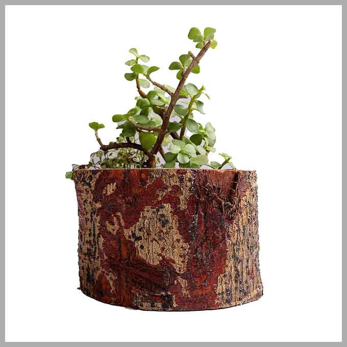Wooden Flora Planter – Indoor Outdoor Pot - Image 2