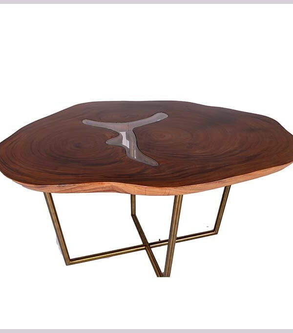 Epoxy Resin Glass and Wood Centre Table - Live Edge Wood