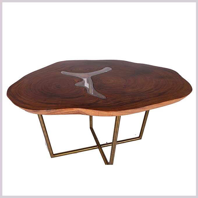 Epoxy Resin Glass and Wood Centre Table - Live Edge Wood