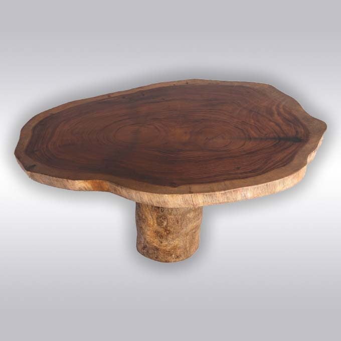 Live Edge Wood Log Table Top - Image 2