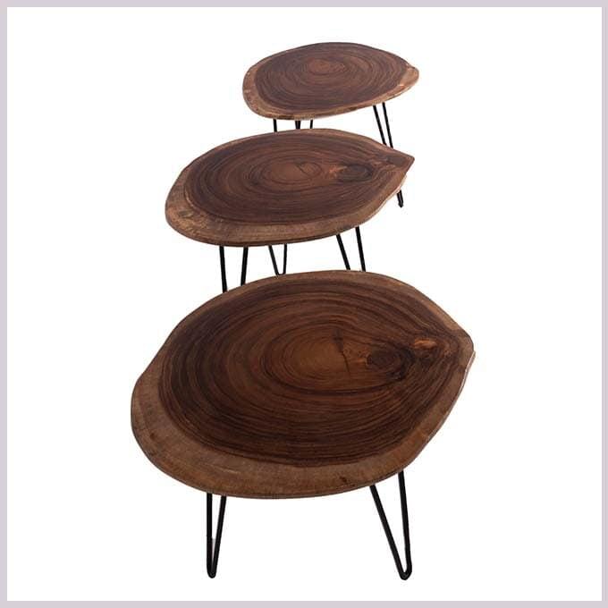 Live Edge Diorama Champhered Table - Image 2