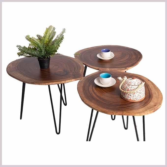 Live Edge Diorama Champhered Table